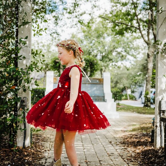 NWT Girls Love & Grow Clothing Red Velvet Holiday Tulle Dress Bloomers Set sz 7 - Picture 4 of 11